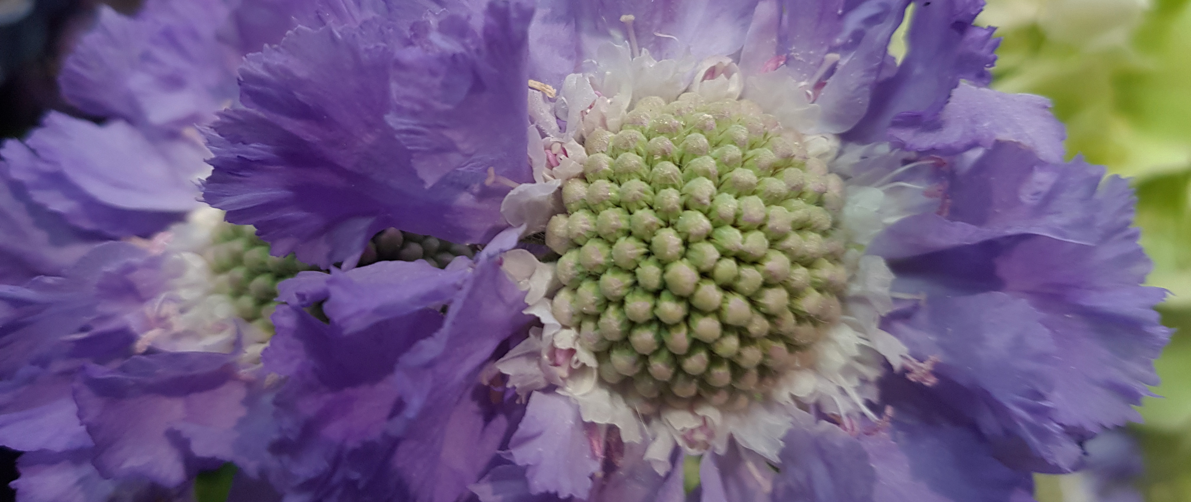 /media/u40lvwxg/slider_bloemen-los-boeketten-samenstellen-maatwerk-bloem-zo-bargeres-emmen-darker.jpg